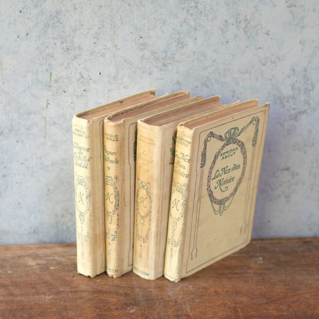 アンティークブック フランス 本 ネルソン nelson アソート1