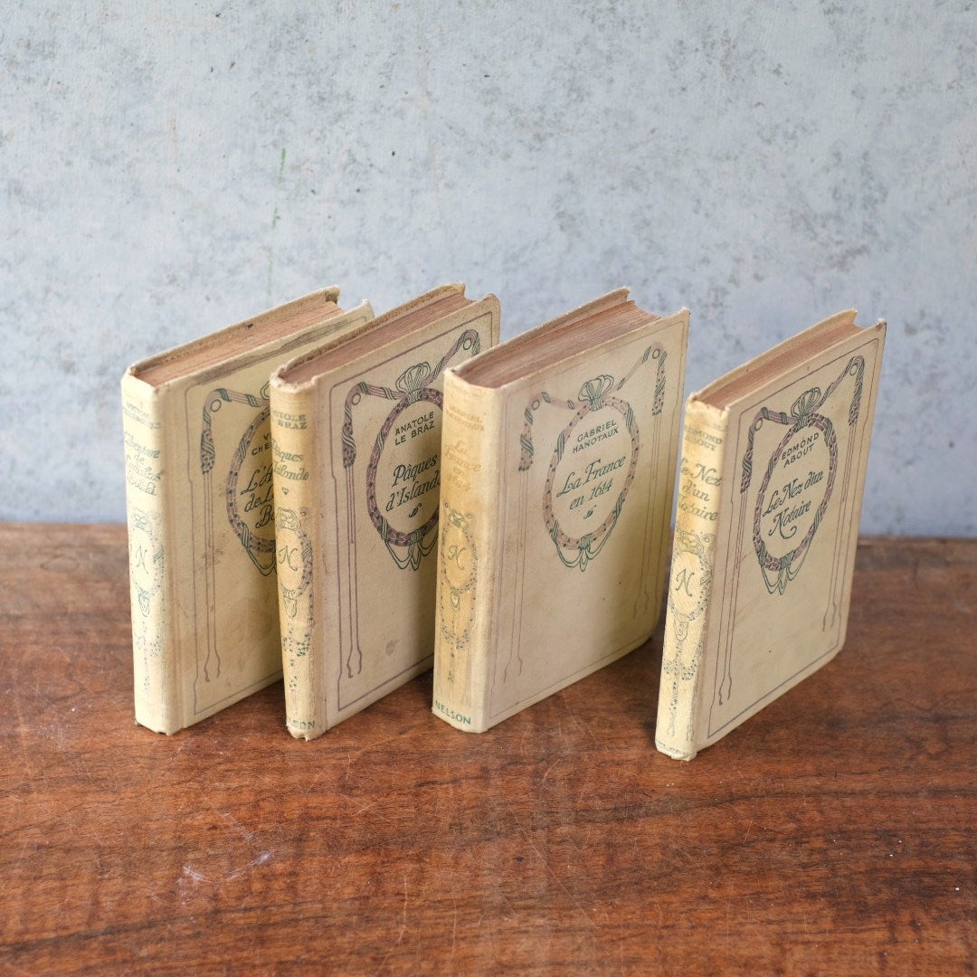 アンティークブック フランス 本 ネルソン nelson アソート2