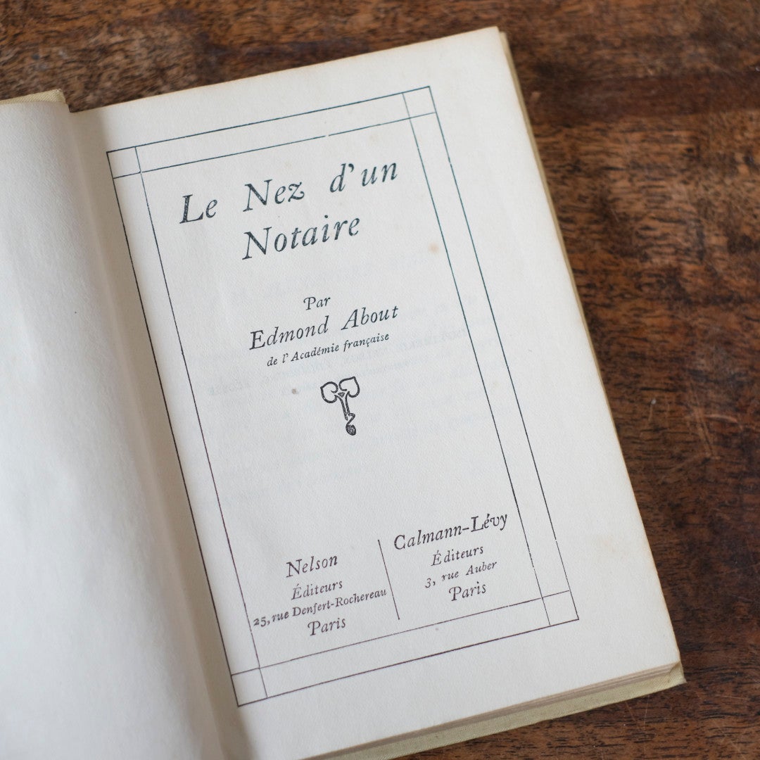 アンティークブック フランス 本 ネルソン nelson アソート6