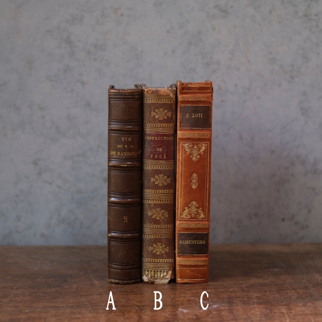 アンティークレザーブック 革張りの本 フランス 古書1