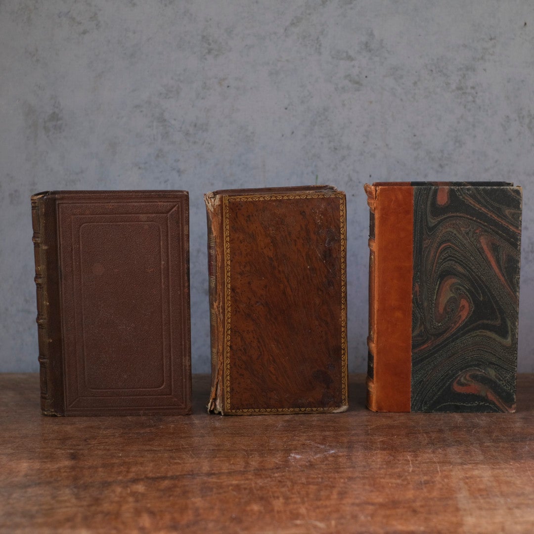 アンティークレザーブック 革張りの本 フランス 古書2