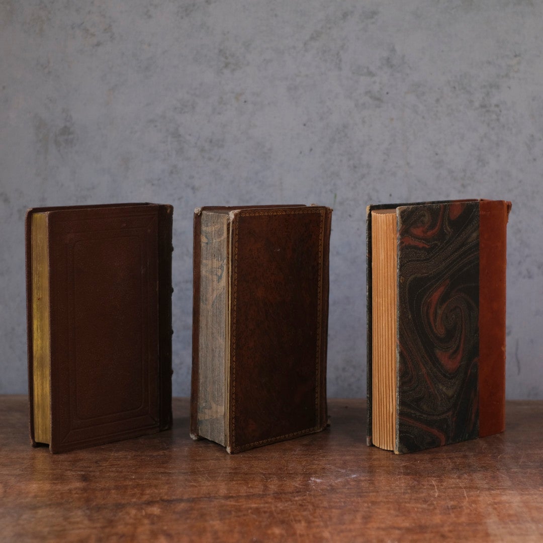 アンティークレザーブック 革張りの本 フランス 古書3