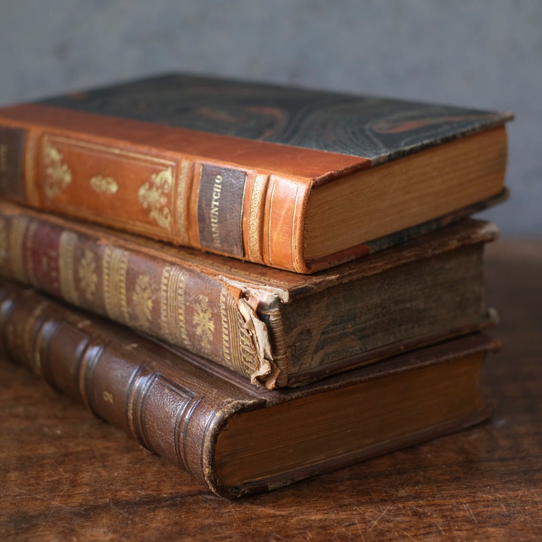 アンティークレザーブック 革張りの本 フランス 古書4