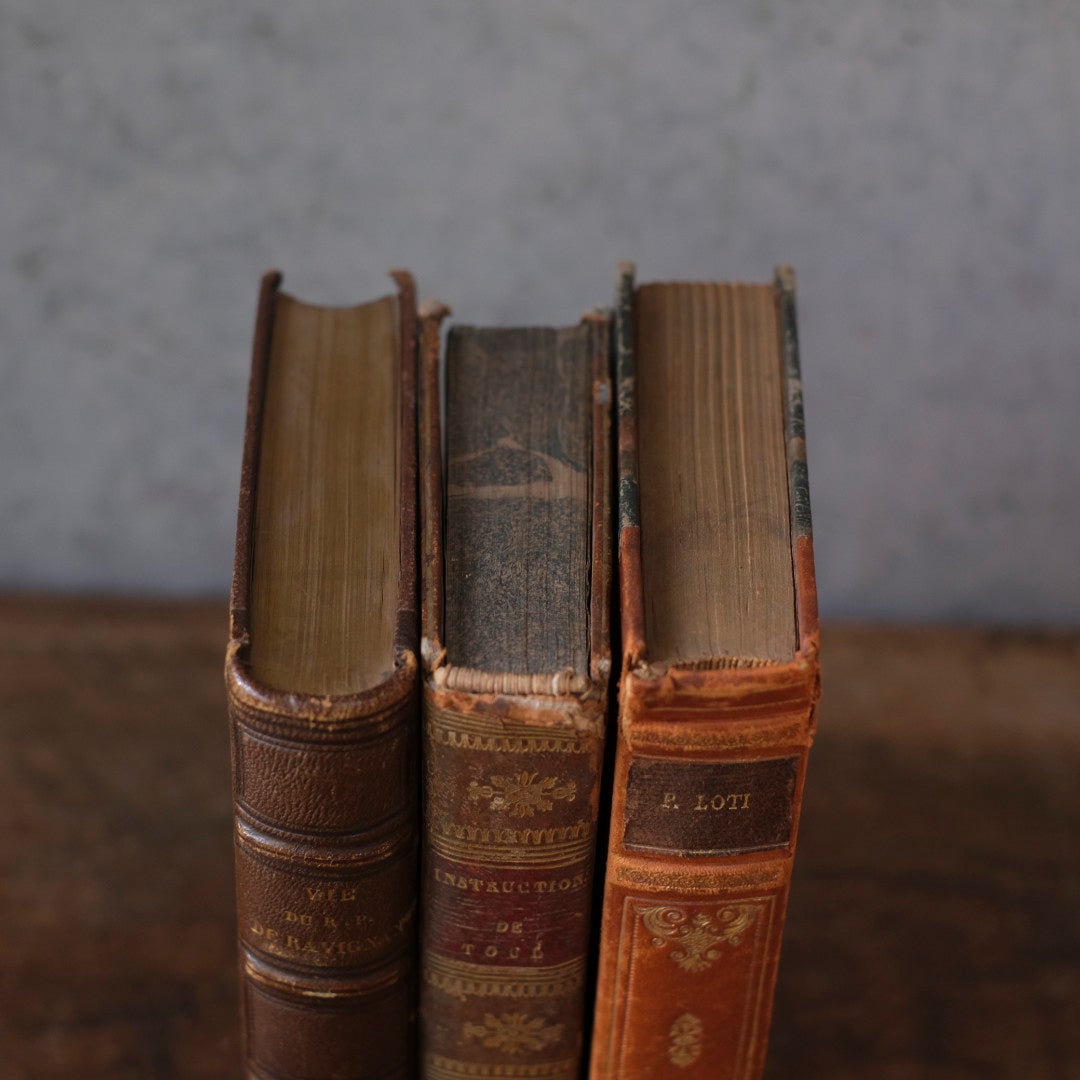 アンティークレザーブック 革張りの本 フランス 古書5