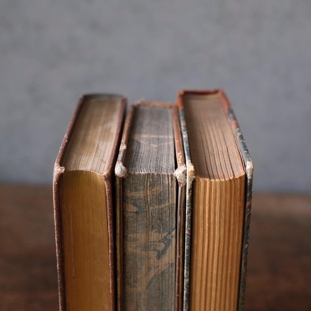 アンティークレザーブック 革張りの本 フランス 古書6