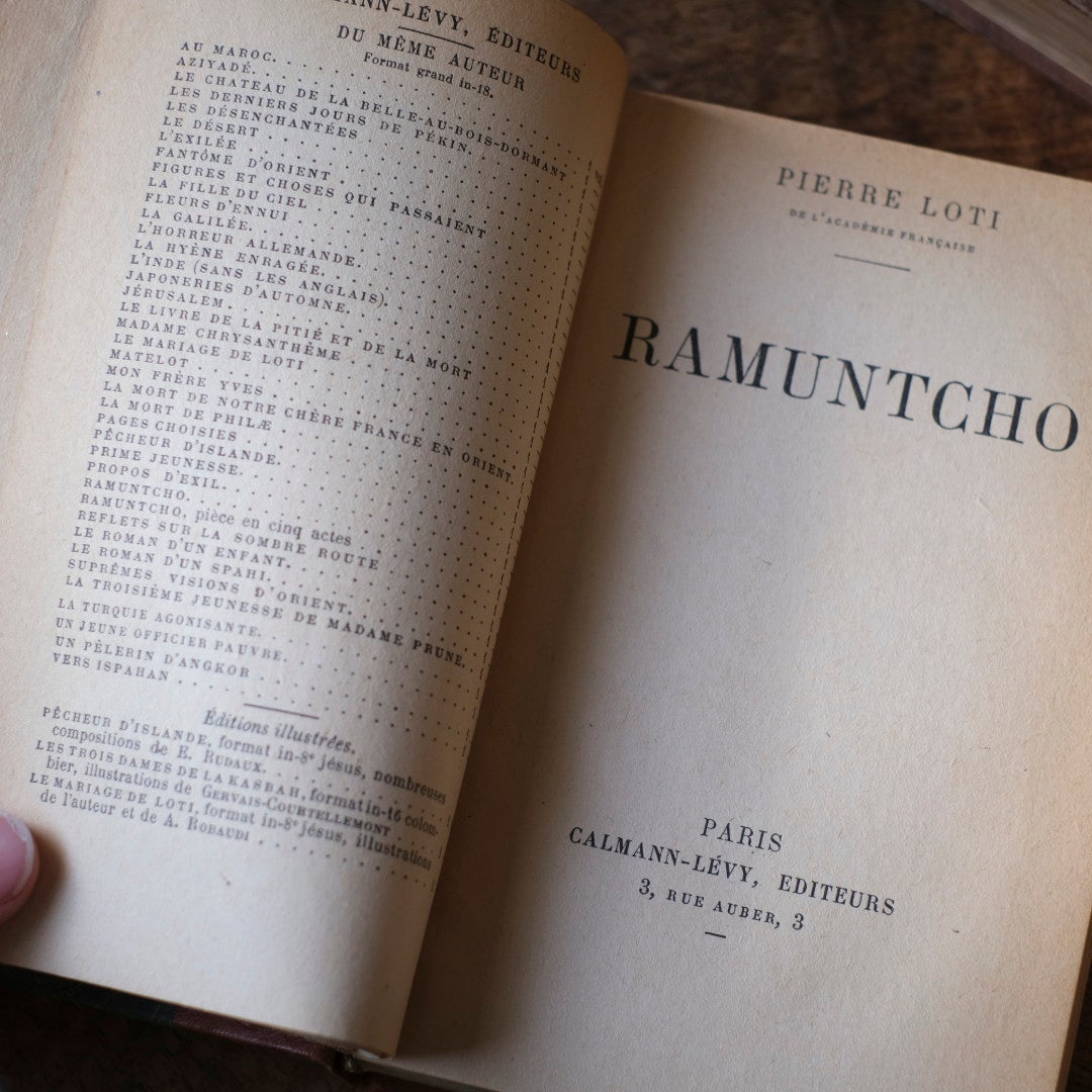 アンティークレザーブック 革張りの本 フランス 古書7