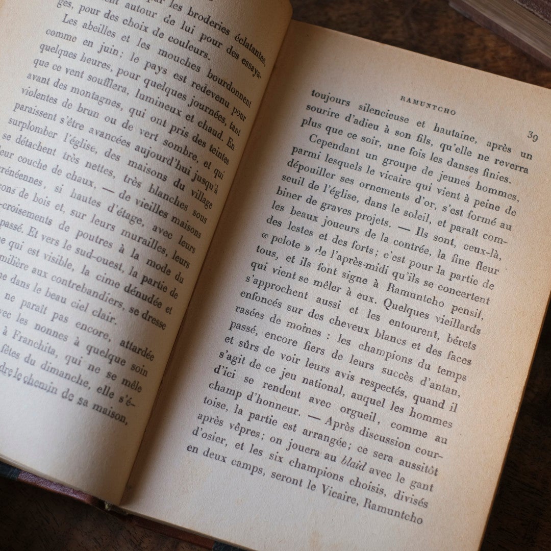 アンティークレザーブック 革張りの本 フランス 古書9