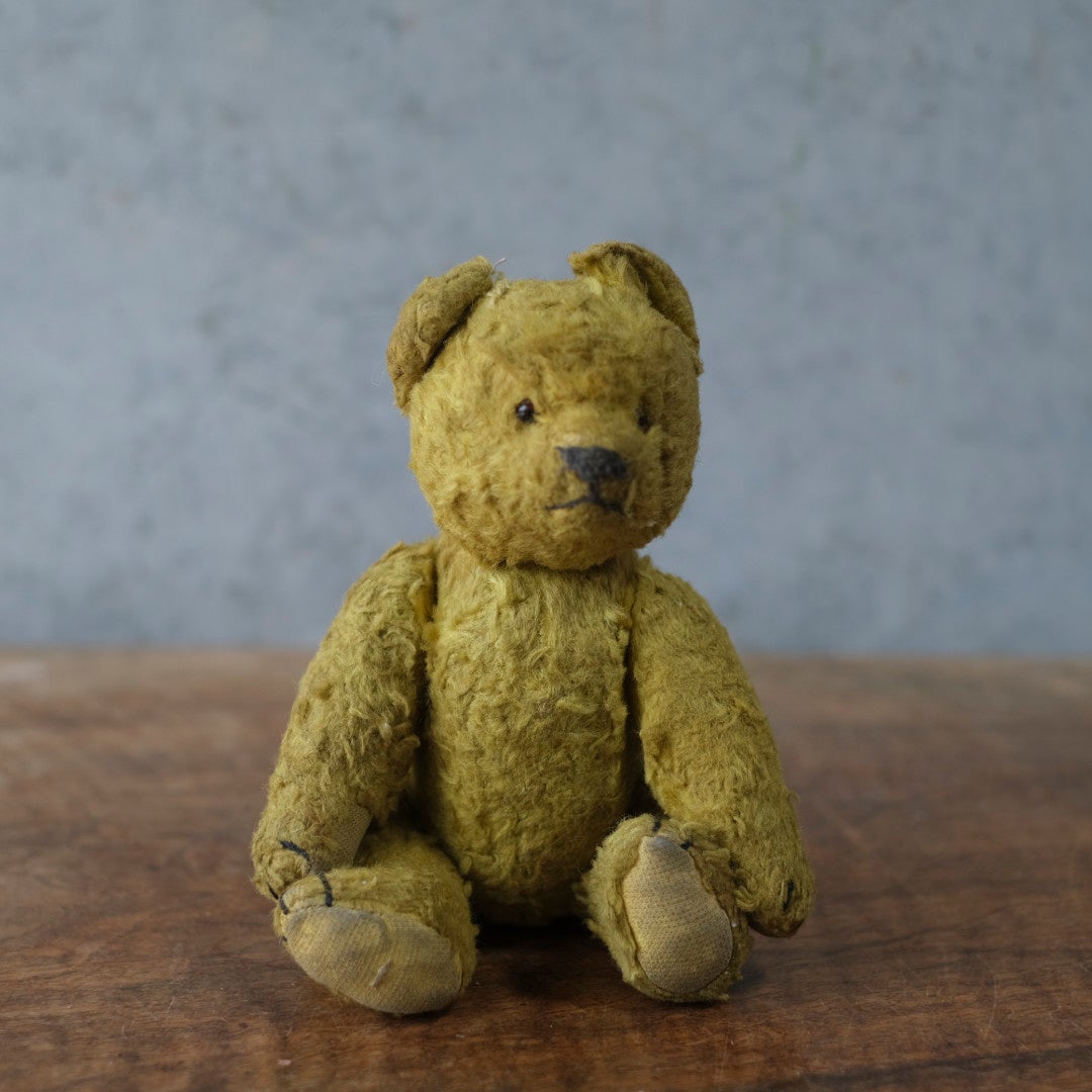 ヴィンテージ　テディベア フランス モヘア ワラ詰め グラスアイ 1920〜1940年代頃 　イギリス2