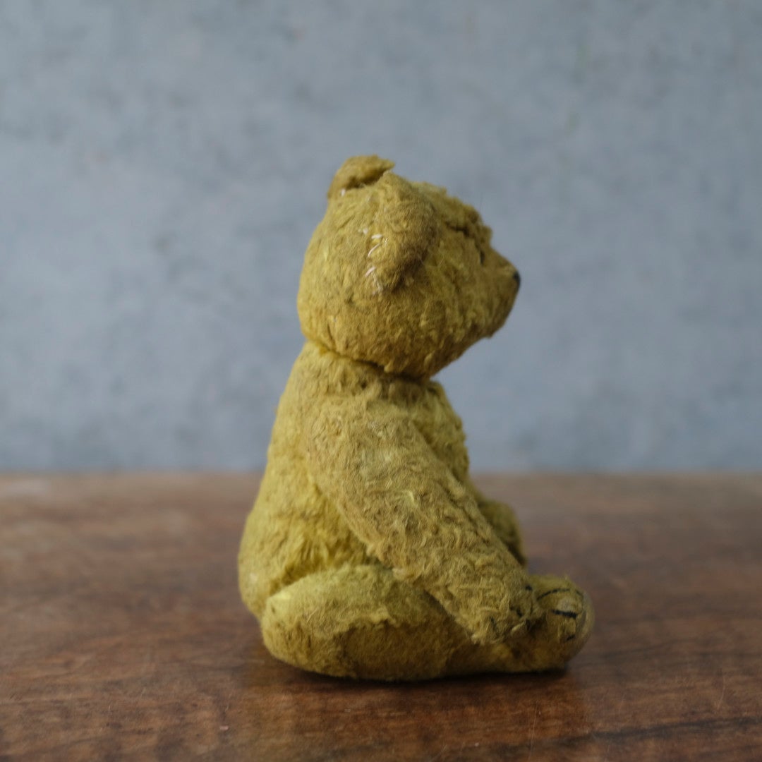 ヴィンテージ　テディベア フランス モヘア ワラ詰め グラスアイ 1920〜1940年代頃 　イギリス3