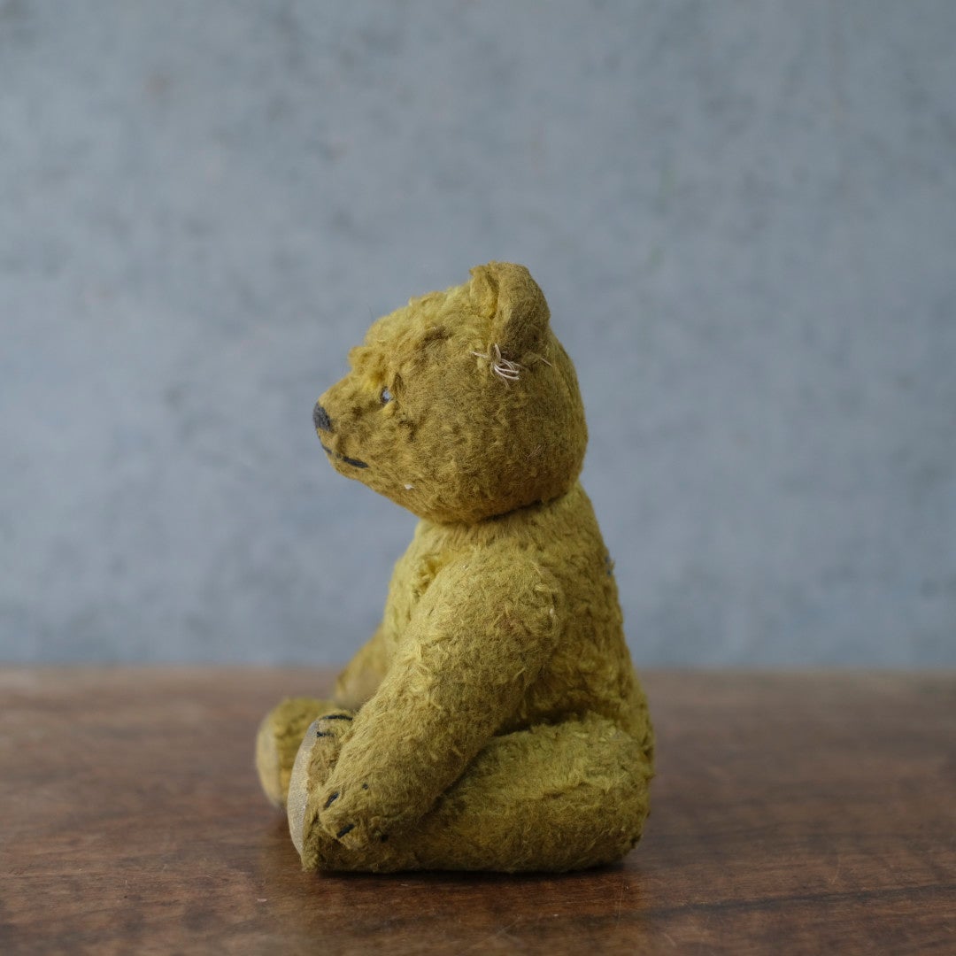 ヴィンテージ　テディベア フランス モヘア ワラ詰め グラスアイ 1920〜1940年代頃 　イギリス4