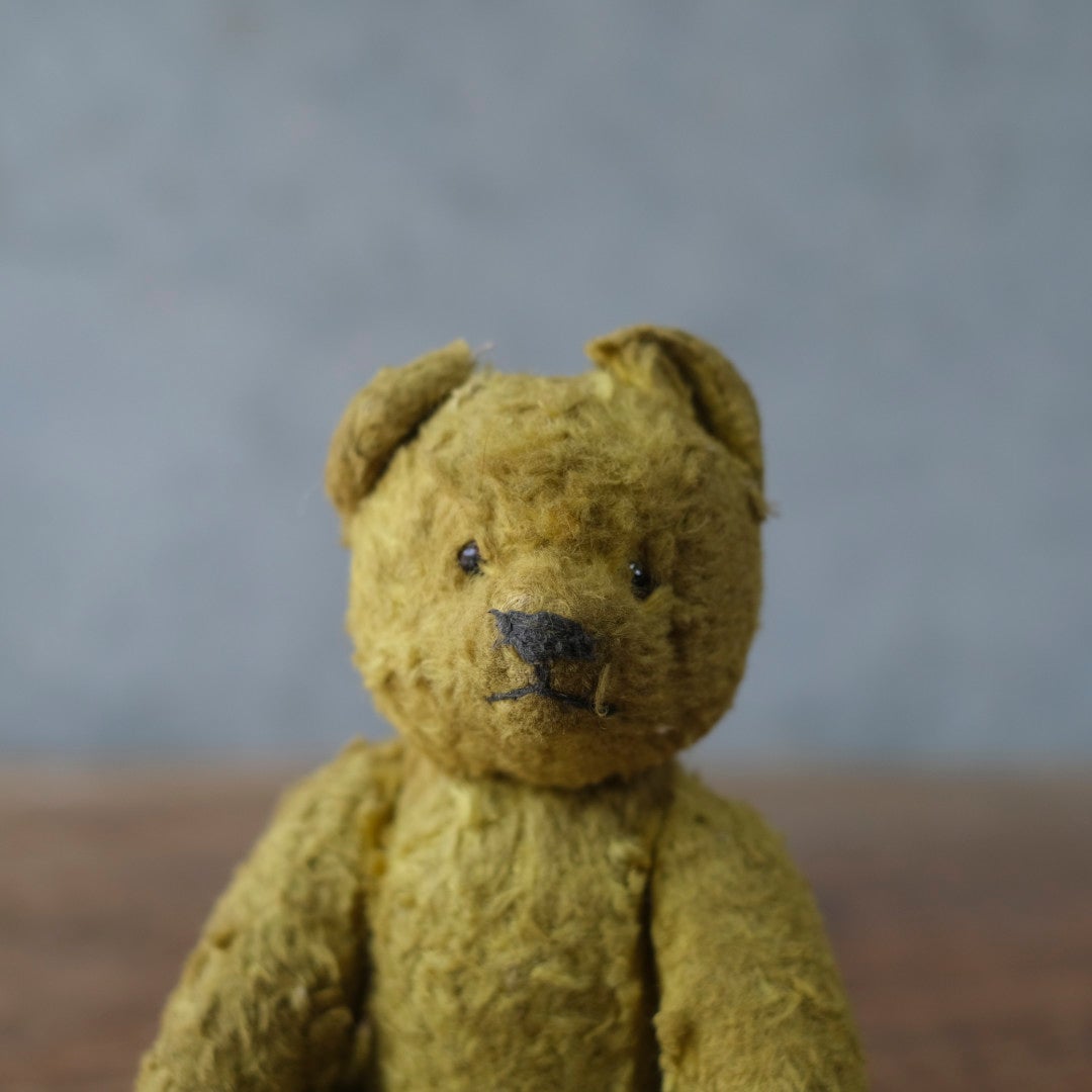 ヴィンテージ　テディベア フランス モヘア ワラ詰め グラスアイ 1920〜1940年代頃 　イギリス5