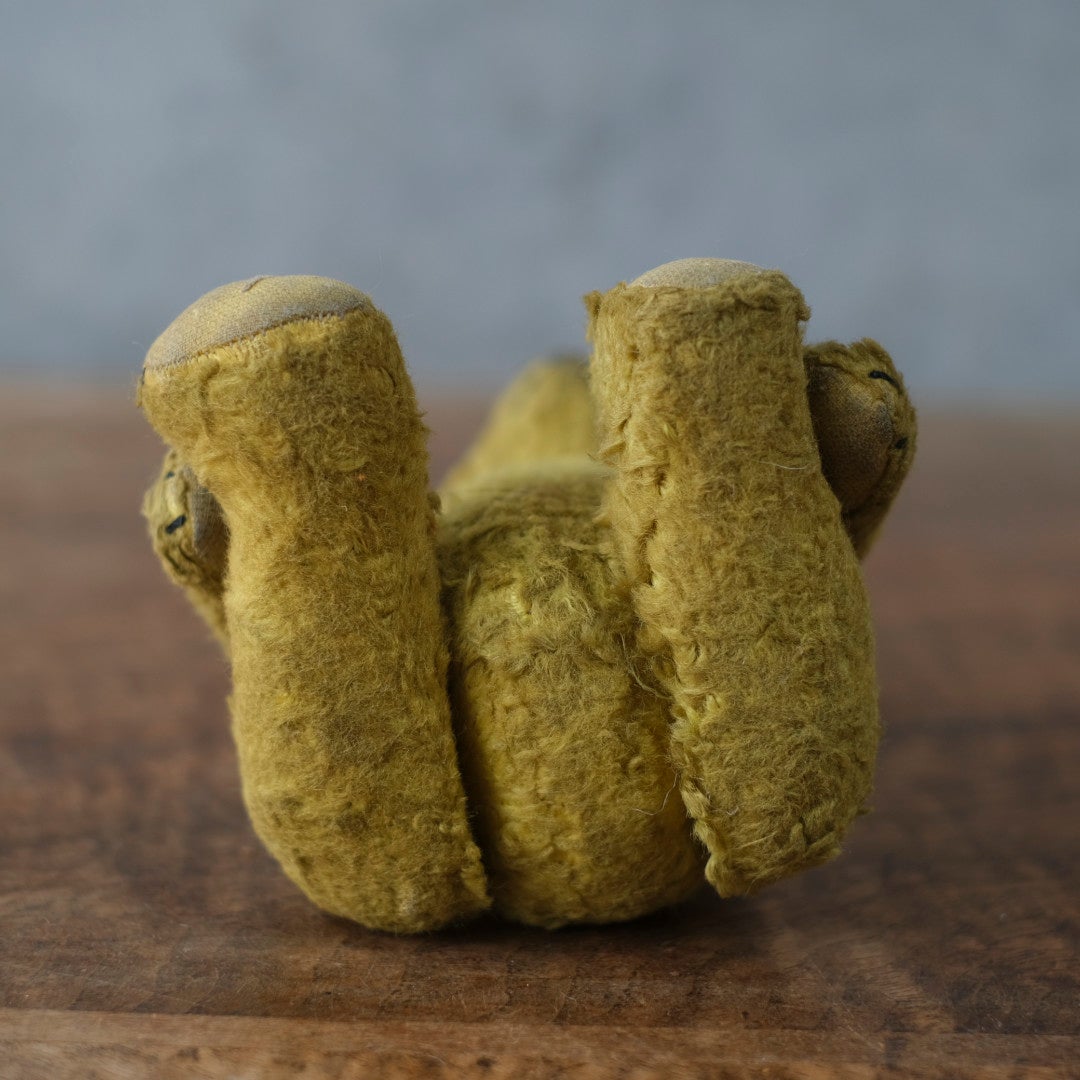 ヴィンテージ　テディベア フランス モヘア ワラ詰め グラスアイ 1920〜1940年代頃 　イギリス6