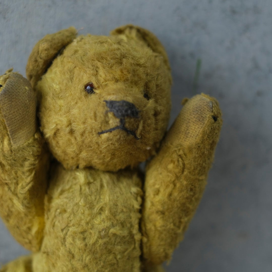 ヴィンテージ　テディベア フランス モヘア ワラ詰め グラスアイ 1920〜1940年代頃 　イギリス9