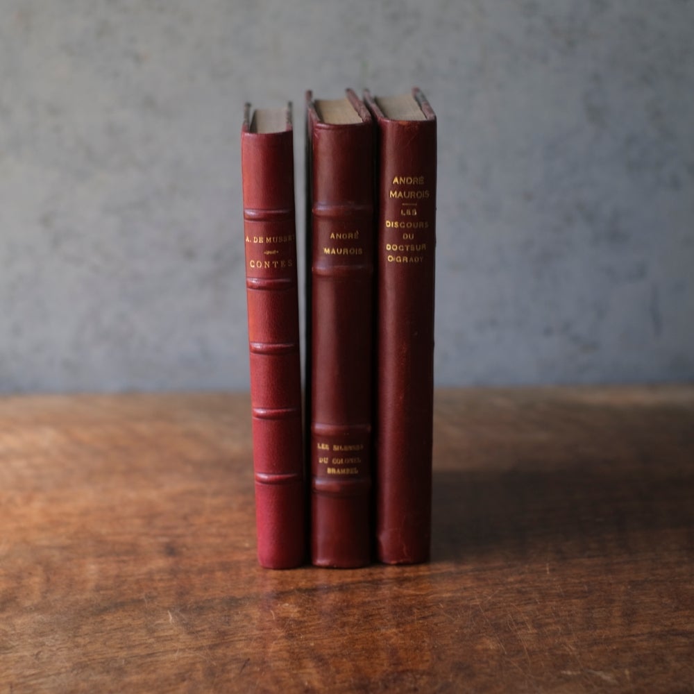 アンティークブック 革張りの古書 レザーブック パリ フランス 1890年1