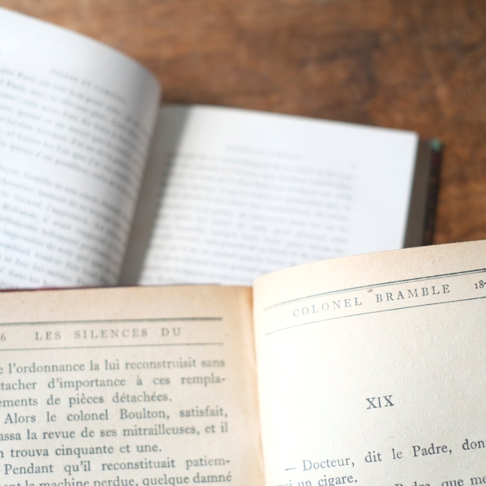 アンティークブック 革張りの古書 レザーブック パリ フランス 1890年4