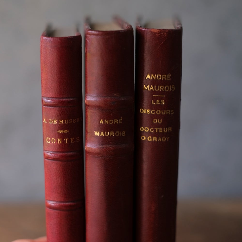 アンティークブック 革張りの古書 レザーブック パリ フランス 1890年5