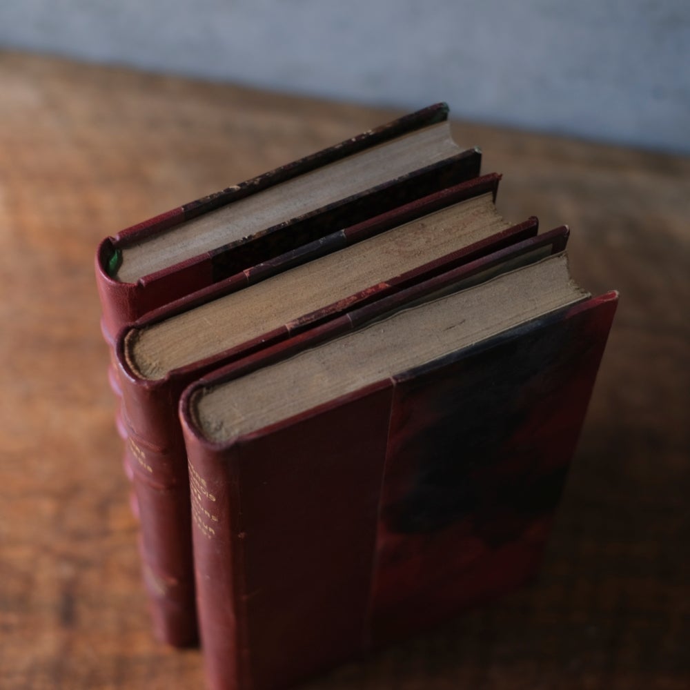 アンティークブック 革張りの古書 レザーブック パリ フランス 1890年6